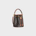 CELINE TEEN CLARA BAG IN Triomphe
