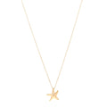 18K Yellow Gold 15mm Elsa Peretti Starfish Pendant Necklace
